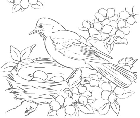bird eggs coloring pages