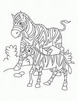 Coloring Pages African Animals Popular Sheets Animal sketch template