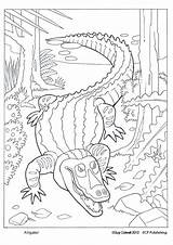 Coloring Pages Swamp Kids Animals Printable Snake Reptiles Color Colouring Alligator Animal Getcolorings Foster Ginger Fish Dover Publications Welcome sketch template