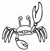 Crab Coloring Pages Sea Color Angry Animals Animal Cartoon Kids Funny Hermit Thecolor Coconut sketch template