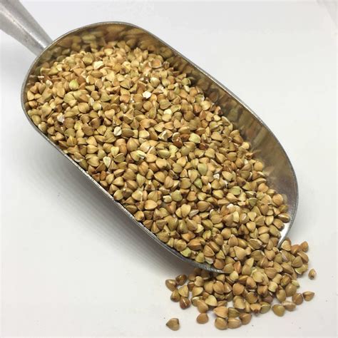buckwheat groats organic pack    waste living worcester
