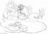 Pond Coloring Pages Drawing Printable Kids Color Adults sketch template
