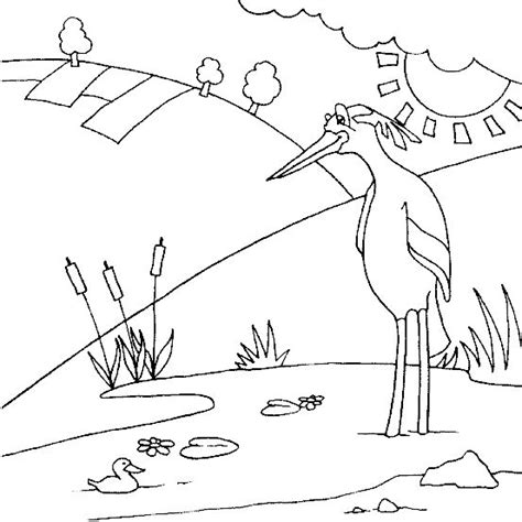 bird coloring pages coloringpagescom animal coloring pages