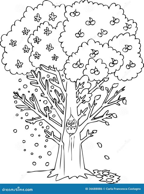 coloring season tree vector stock vector illustration  vector