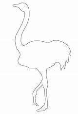 Ostrich Contorni Struzzo Supercoloring sketch template