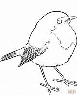 Bird Coloring Sparrow Drawing Pages Birds Line Outline Lines Drawings Goldcrest Pixabay Lineart Svg Sparrows Nature Animal Artwork Printable Supercoloring sketch template