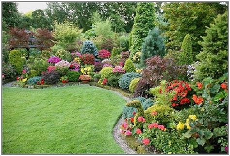 amazing colourful backyard  alive  visually vibrant plants