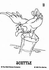 Seagull Coloring Pages Getcolorings Getdrawings Pag sketch template