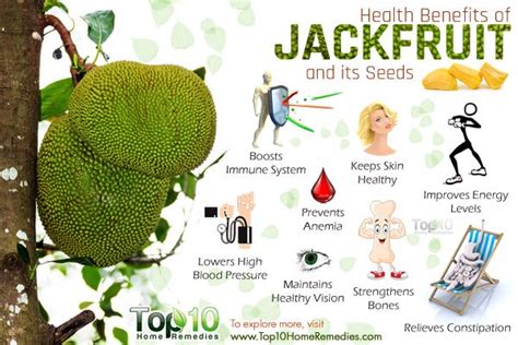 what makes jackfruit good for you health benefits