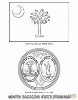Carolina South Coloring State Symbols Pages Flower Printable Supercoloring sketch template