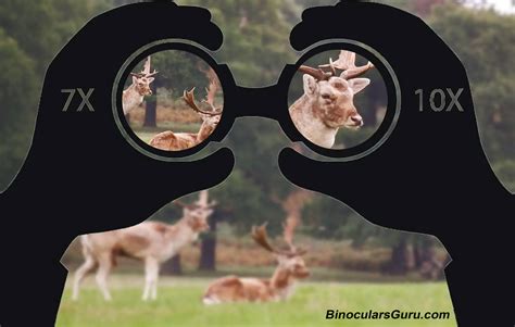 understanding binoculars    binoculars work binoculars guru