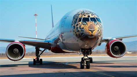 fliegende kunstwerke womit russische airlines ihre flugzeuge verzieren russia  de
