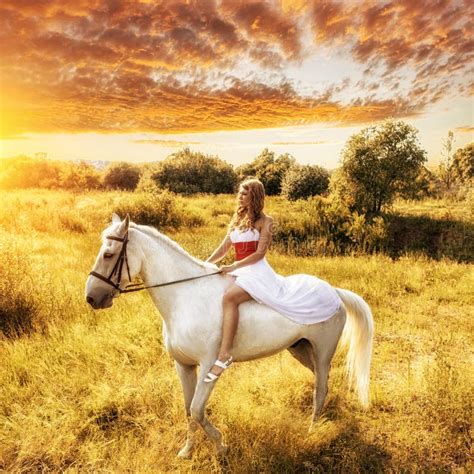 vrouw op paard  zonsondergang stock foto image  vrouw aangestoken