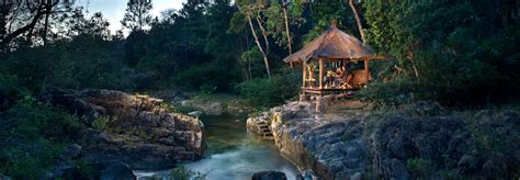 jungle    wildest rainforest resorts
