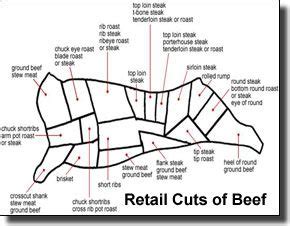 beef front quarter cuts  meat