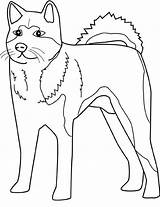 Getdrawings Akita Coloring Pages Dogs sketch template