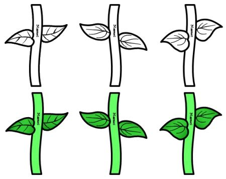 flower  stem template clipart