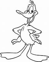 Duck Daffy Coloring Looney Pages Colouring Drawing Clipart Toons Tunes Drawings Characters Cartoon Color Kids Print Duckling Cartoons Hunting Gangster sketch template