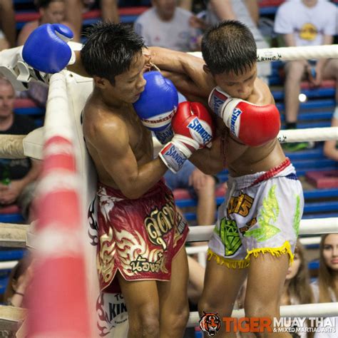 fighting thai tiger muay thai and mma training camp guest fights july 3