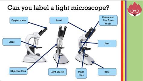 microscopy required practical aqa gcse science teaching resources wwwvrogueco