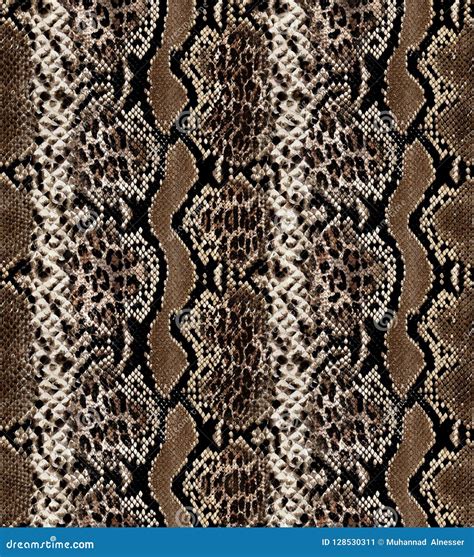 seamless snakeskin pattern stock    images