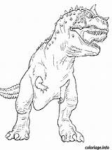 Trex Dinosaure sketch template