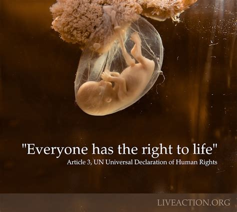everyone has the right to life lila