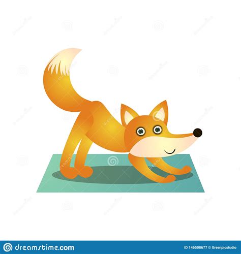 cute colorful fox training yoga pose  soft mat stock vector