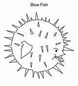 Blowfish Coloring Animal Water Pages sketch template