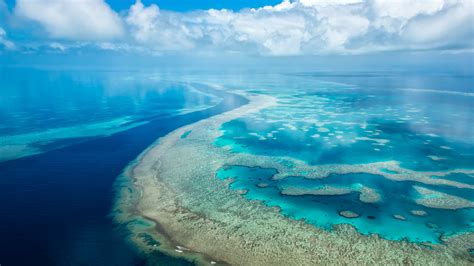 great barrier reef australia uhd  wallpaper pixelz
