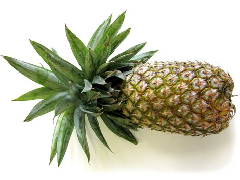 Pineapple Nt Gov Au