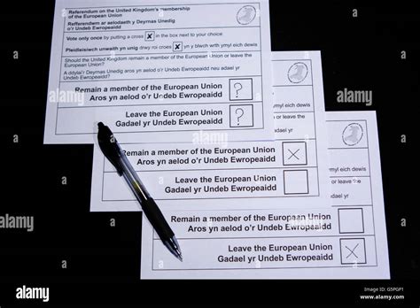 ballot papers  res stock photography  images alamy