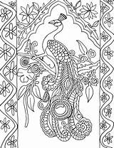 Coloring Printable Pages Adult Peacock Feather Printablee Via sketch template
