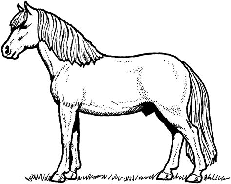 cartoon horses coloring pages   print