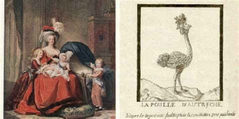 marie antoinette in the public eye guided history
