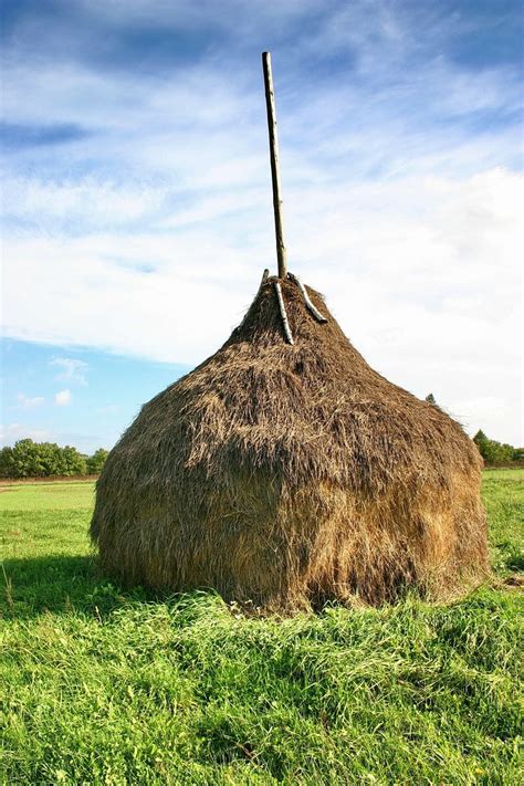 haystack   photo  freeimages