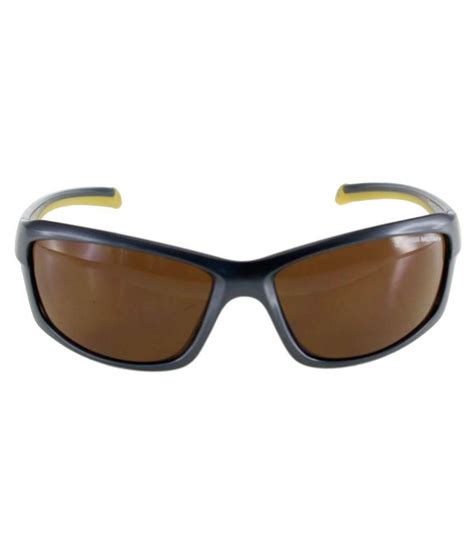 Swiss Military Brown Wayfarer Sunglasses Sum44 Buy
