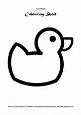 Duck Coloring Preschoolers Sheets Kids Colouring Sheet sketch template