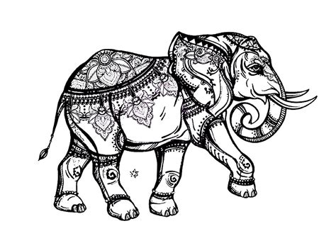 elephant adult coloring pages zsksydny coloring pages