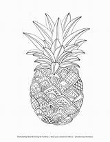 Pineapple Zentangle Colouring Grown Marie Tombowusa sketch template