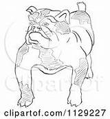 Outlined Bulldog Clipart Picsburg Vector Coloring Cartoon Scottie Rug Dog sketch template