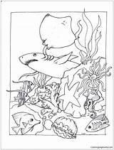 Life Coloring Pages Marine Sea Getcolorings sketch template
