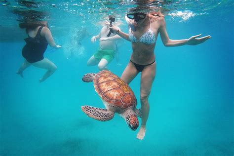 barbados best snorkeling tours with complimentary photos by hayden