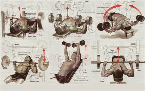 Best Chest Workout Routine Project Next