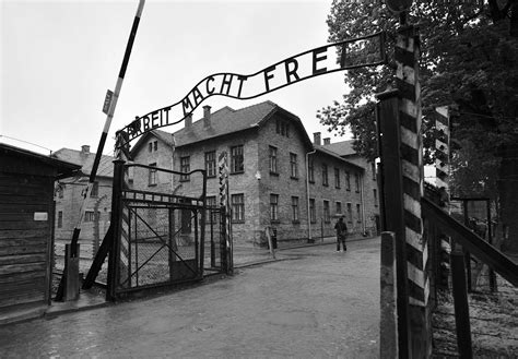 chapter  auschwitz birkenau german nazi concentration  extermination camp