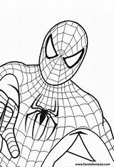 Colorare Spiderman Ragno Disegno Uomo Facili Disegnidacolorareonline Disegnare Stampa Personaggi Motocross Trasporto Mezzi Spider Mitico Tanti Cartoni Successivo Divertenti Hulk sketch template