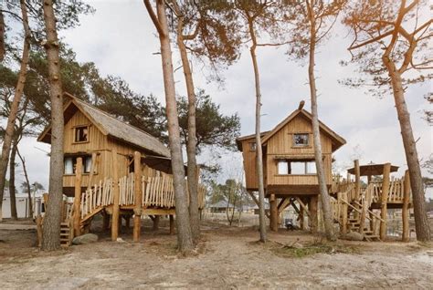 bijzondere overnachting  een boomhut beekse bergen