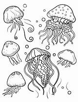 Jellyfish Medusas Ausmalen Medusa Colorings Disimpan sketch template
