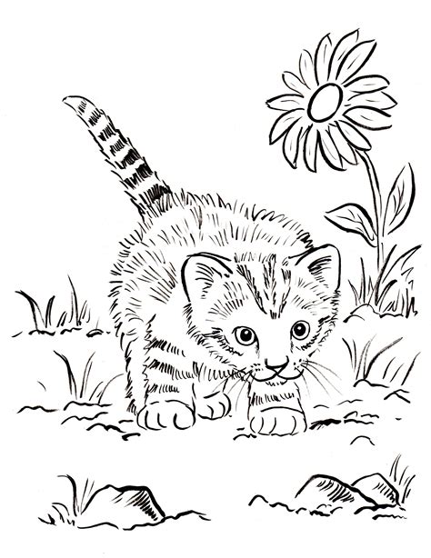 kitten coloring page art starts