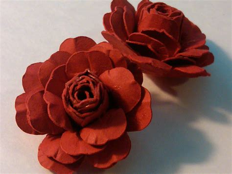 red mini roses